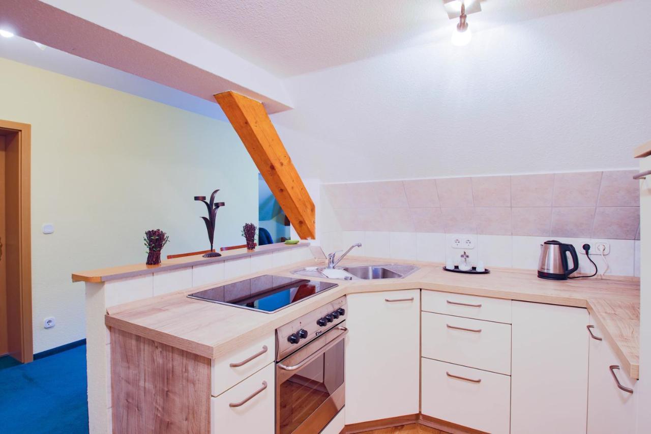 Ferien Hotel Villa Suedharz Sülzhayn エクステリア 写真