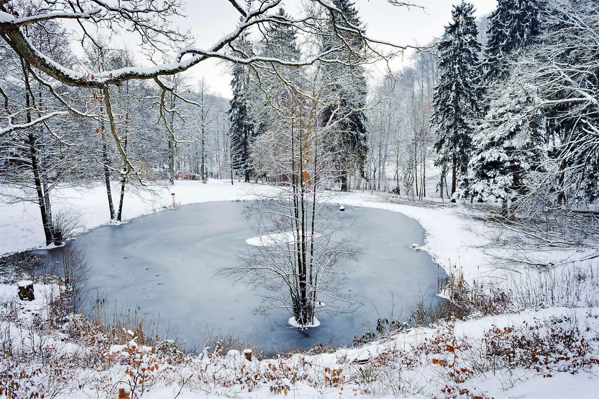 Ferien Hotel Villa Suedharz Sülzhayn エクステリア 写真